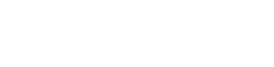 logo_wit logo_wit